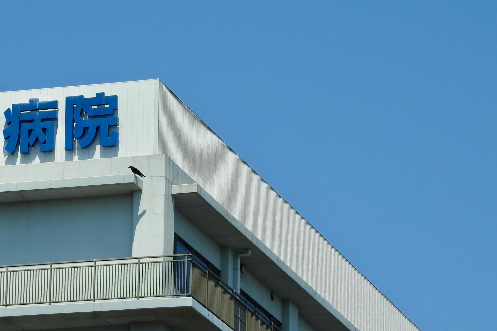 EDは何科に行くべき？泌尿器科・内科・オンライン診療の違いを徹底解説